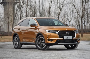 DS